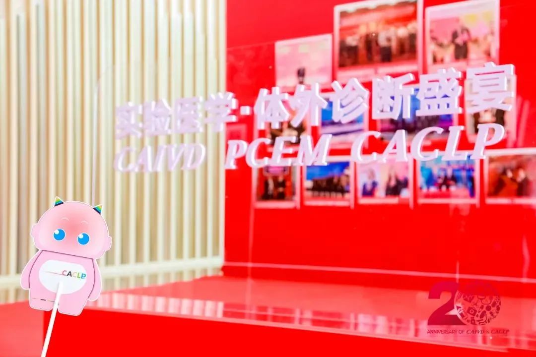 1697002644818103.jpg 6.jpg